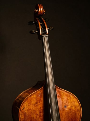 Close-up of the elegant scroll and pegbox of an old upright bass, warm side lighting highlighting the worn grain of the wood, dark background