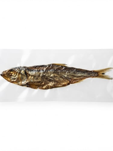 Straight-on technical product photography of vacuum-packed dried fish on clean white background, bright high-key studio lighting, 50mm, sharp focus
