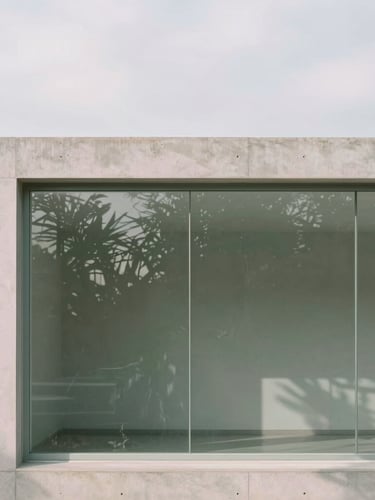 A minimalist architectural structure of concrete and glass with delicate botanical shadows cast by soft overcast daylight, clean composition, muted sage tones.