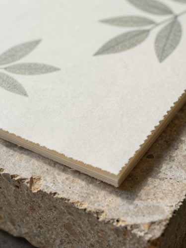 Macro detail of textured deckled-edge paper resting on a flat sandstone block, soft overcast daylight, desaturated sage leaves casting a gentle shadow on the side.