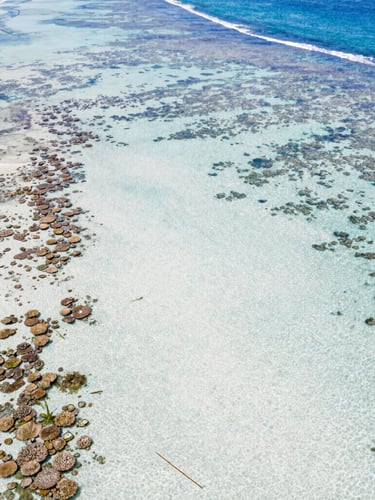 Wide aerial drone shot of a pristine coastal ecosystem with shallow turquoise water and healthy coral reefs, bright natural sunlight.