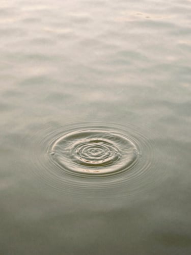 Quiet environmental macro shot of water ripples on a still pond, soft overcast daylight, muted sage and sand tones, 35mm film texture