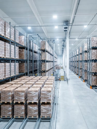 Wide shot of a pristine, modern automated cold-storage facility, rows of neatly stacked frozen poultry pallets, bright high-key studio lighting, clean cool tones, sharp focus, professional editorial style.