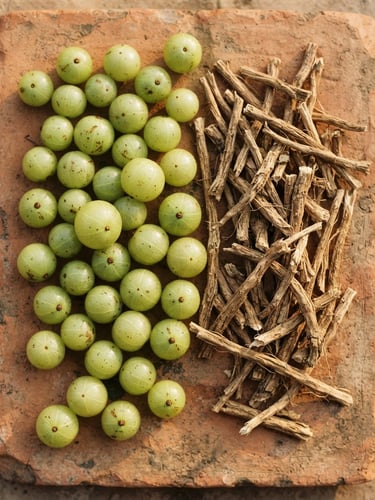 Overhead flat-lay of raw amla berries and dried shatavari roots on a rustic clay tile, warm low-contrast afternoon sun, soft shadows, 35mm.