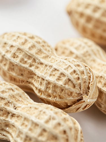 Macro texture of compressed peanut shell briquettes, cylindrical logs showing natural fiber layers, soft overcast daylight, 35mm lens.