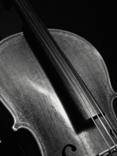 Extreme close-up of physical cello strings in deep shadow, high-contrast black and white with subtle crimson light, 35mm film grain, moody chiaroscuro