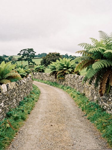 A quiet gravel walking path winding past historic stone walls and lush green ferns in the UK countryside, soft overcast daylight, 35mm film style.