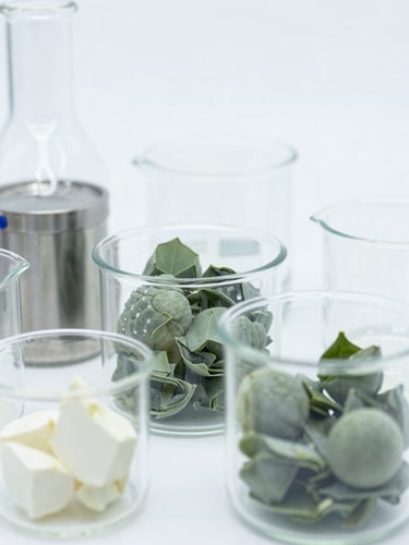 Macro shot of raw ingredients in structured laboratory glassware under bright, clinical white light, desaturated green and steel tones, sharp focus, 50mm lens.