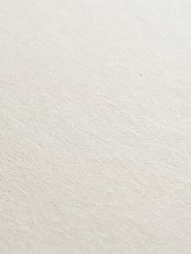 Macro detail shot of heavy cream-colored cotton paper stock, subtle shadow, soft diffused daylight, minimalist editorial style