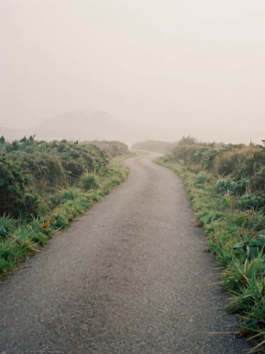 An empty winding cycling path cutting through green hedgerows in the morning mist, soft overcast daylight, cinematic depth of field, 35mm film style