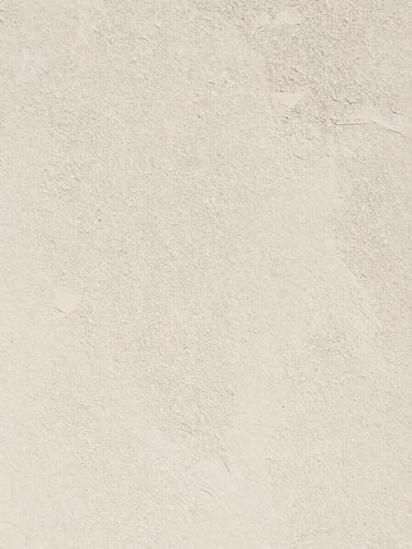 Straight-on profile shot of a freshly prepared exterior stucco wall, bright natural lighting.
