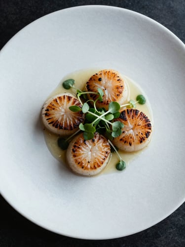 Overhead close-up of a single composed plate on white linen — a precisely arranged starter of seared scallops with microgreens and a pale sauce dot, cool studio strobe lighting, minimal negative space at frame edges, no hands visible