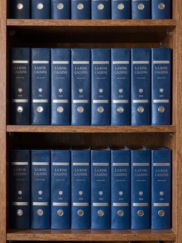Straight-on editorial photograph of a leather-bound legal archive on dark oak shelves, neutral daylight, sharp focus, administrative atmosphere