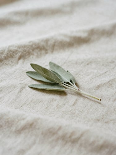 Close-up of soft beige linen fabric and a sprig of dried sage, minimalist Japandi aesthetic, soft diffused daylight