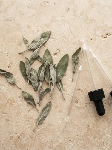 Macro flat-lay of dried sage leaves and clean glass diagnostic pipettes on a warm stone surface, bright diffused north-facing daylight, minimalist composition