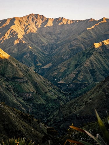 Wide-angle editorial landscape of the Colombian Andes mountains at golden hour, deep green valleys, warm sunlight illuminating the peaks, 35mm photography