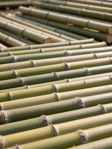 Ground-level perspective of stacked raw bamboo culms in a covered outdoor storage yard, smooth green-yellow surfaces with visible nodes, natural afternoon light casting parallel shadows across the pile, depth of field showing dozens of culms receding into the background