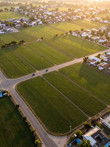 A warm golden hour drone perspective of cleared green residential plots in Punjab, showcasing clean geometric boundaries, road connectivity, and rich agricultural surrounds.