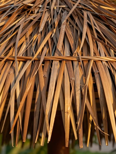 Macro shot of hand-woven royal palm thatch, golden-hour tropical sunlight filtering through rich brown fibers, architectural detail, 35mm