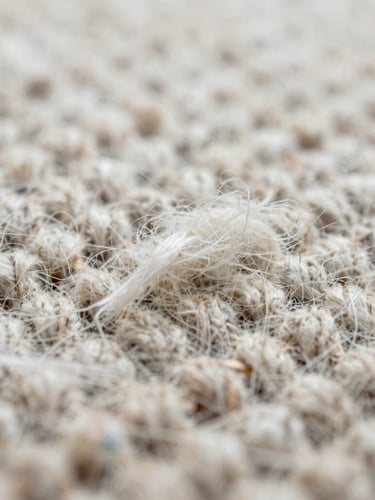 Macro close-up of premium wool carpet fibers, showing clean restored weave structure, bright clinical daylight framing