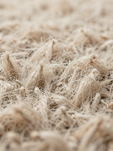 Gros plan macro d'une moquette en laine de luxe de couleur écru, fibres parfaitement redressées et propres, lumière naturelle rasante révélant une texture impeccable.