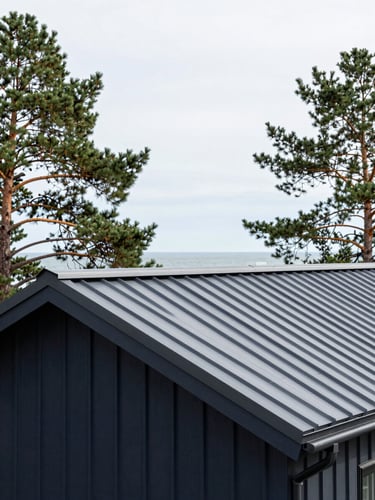 Crisp architectural photography of a premium residential roof in Jurmala, zinc details, surrounding pine trees, bright overcast coastal daylight