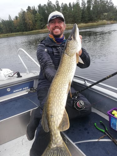 Fischer hält einen Hecht