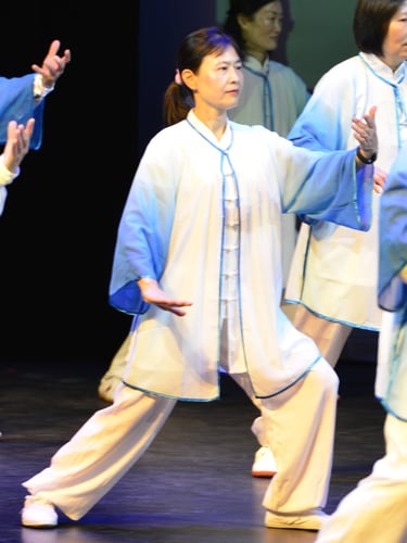 Tai Chi 24 Forms Performance
