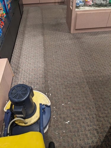 Commercial carpet cleaning in Olympia using a Cimex