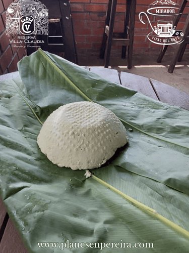 tour lechero pereira