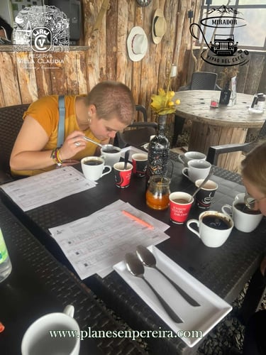 lugares para conocer en pereira