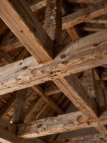 Tight close-up of ancient hand-hewn oak roof timbers in a historic barn or cathedral, overhead industrial studio strobe revealing grain texture and centuries of patina, clinical precision framing with no people and no fire — the raw structural material under analytical light