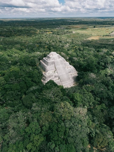 calakmul mexique temple maya jungle