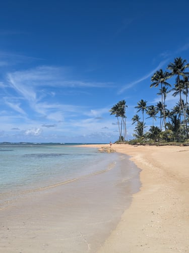 playa bonita las terrenas republique dominicaine hors de punta cana