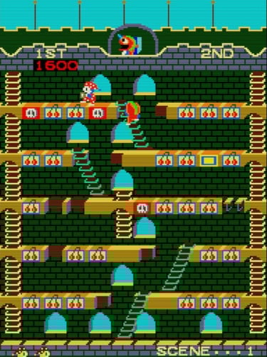 Mr. Do's Castle - Hazardous Ladders