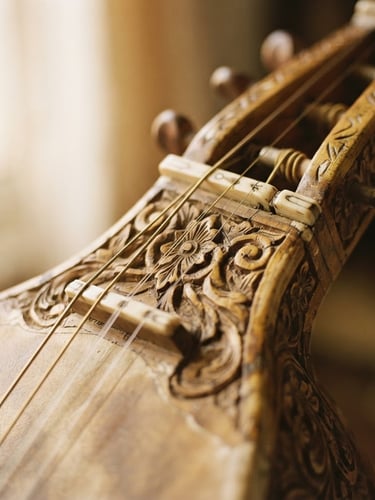 Macro close-up of a traditional dilruba instrument with wooden carvings under soft morning window light, shallow depth of field, warm golden tones, 35mm