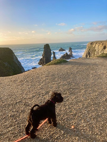 Uma des Diamants Noirs d'Also