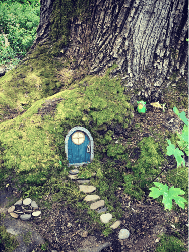 a fairy door with a green door in a tree root