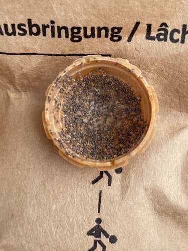Trichogramma Schlupfwespen in einer Dosierkugel