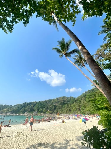 plaża z palmami Tajlandia