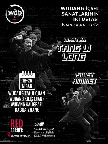 Tang Li Long İsmet Himmet Wudang WDP international seminar TaijiQuan Sword Kiliç Bagua Calligraphy 1