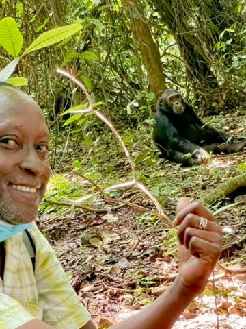 Gombe NP – Schimpansen hautnah in ihrem natürlichen Lebensraum erleben.