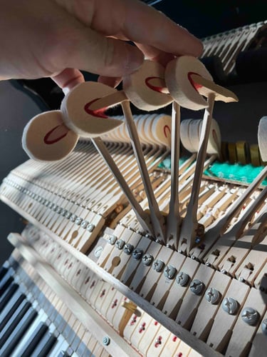 Marteaux piano à queue moderne