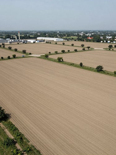 High-angle aerial drone photograph of a structured industrial plot boundary in Kundli, crisp daylight, desaturated olive and sand tones, 35mm