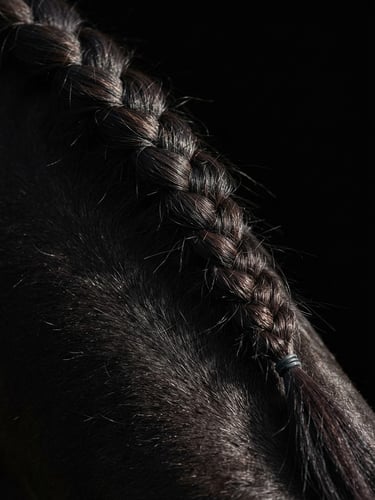 Extreme close-up of a perfectly braided horse mane, high-contrast side lighting, deep black background, sharp focus on hair texture, 85mm lens