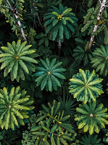 Nadir perspective of a dense sub-tropical forest canopy, processed with hyper-cyan false-color vegetation heatmap overlays, showing sharp pixel-level moisture gradients.