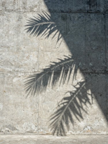 Strict one-point perspective of a monolithic concrete facade, sharp tropical shadows cutting across raw stone textures, bright daylight, negative space on the left.