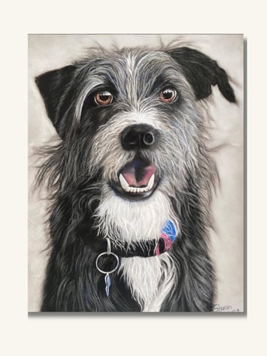 Custom pet portrait of a dog created in soft pastel with realistic detail and personality.