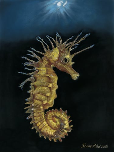 Sea Horse Original Paintings