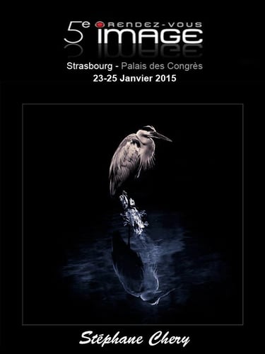 un oiseau sur fond noir. Affiche pour rendez vous image à Strasbourg. g